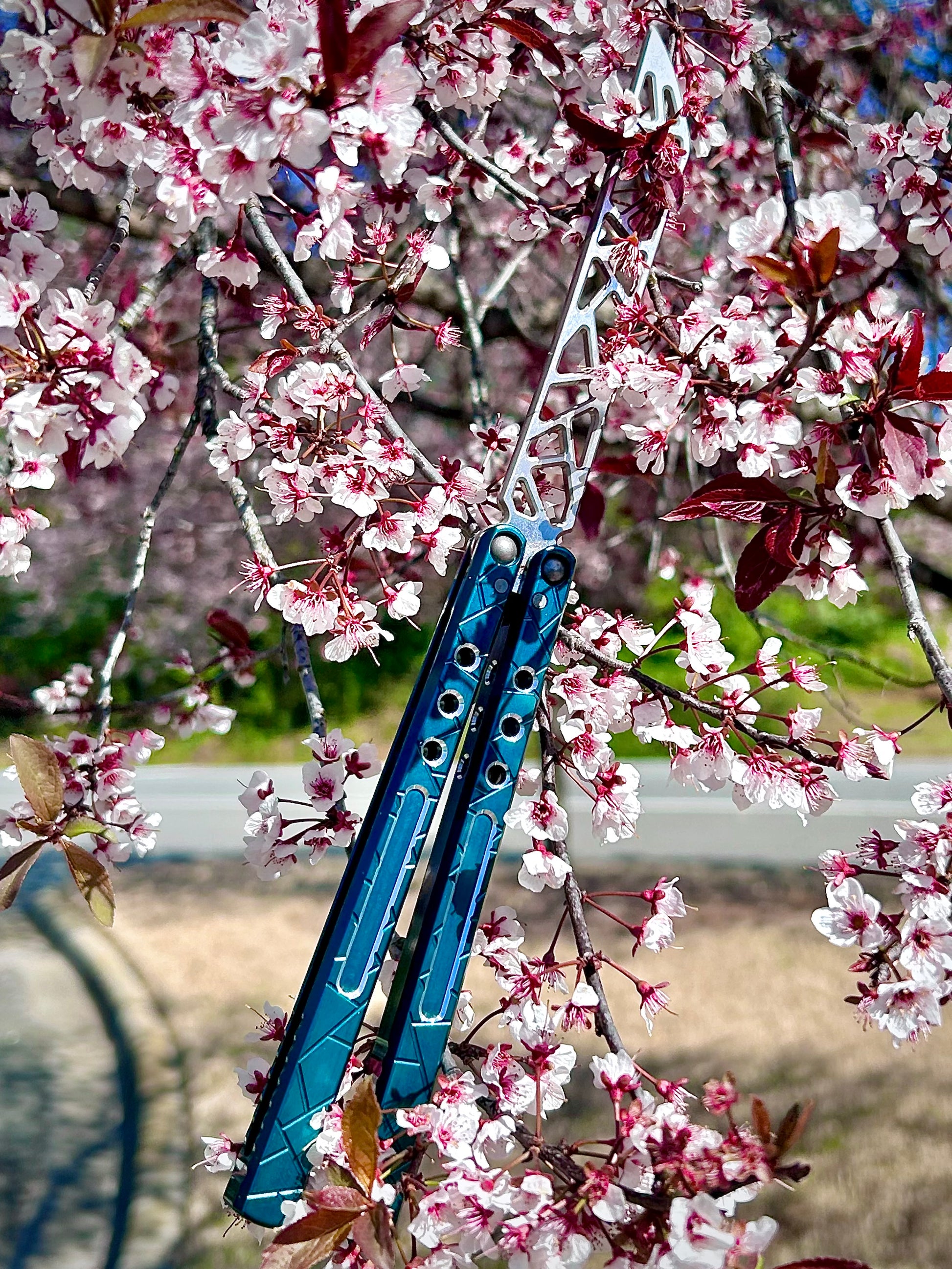Shattered Trainer in Cherry tree